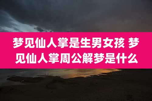 梦见仙人掌是生男女孩 梦见仙人掌周公解梦是什么