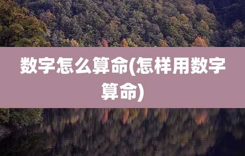 数字怎么算命(怎样用数字算命)