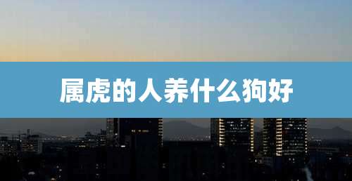 属虎的人养什么狗好