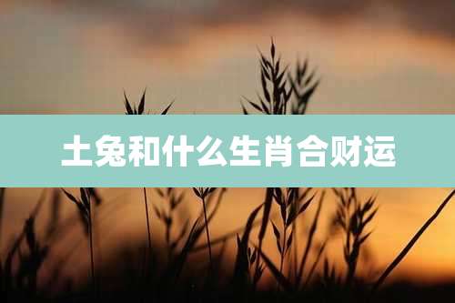土兔和什么生肖合财运