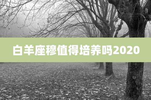 白羊座穆值得培养吗2020