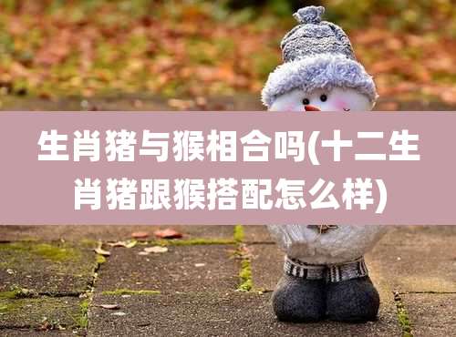 生肖猪与猴相合吗(十二生肖猪跟猴搭配怎么样)