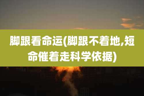脚跟看命运(脚跟不着地,短命催着走科学依据)