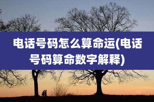 电话号码怎么算命运(电话号码算命数字解释)