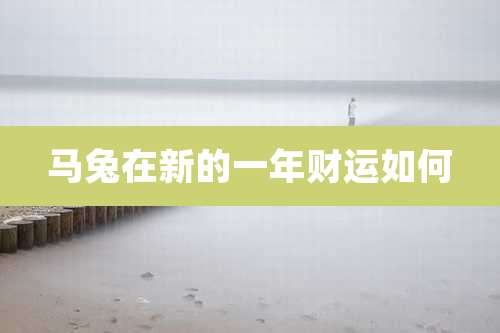 马兔在新的一年财运如何