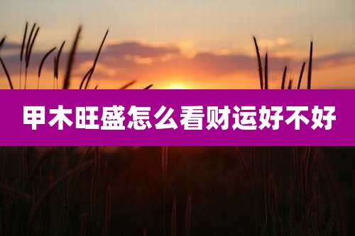 甲木旺盛怎么看财运好不好