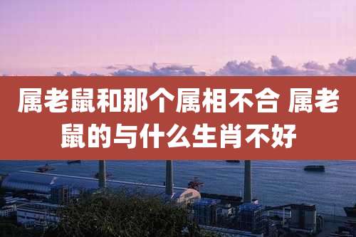 属老鼠和那个属相不合 属老鼠的与什么生肖不好