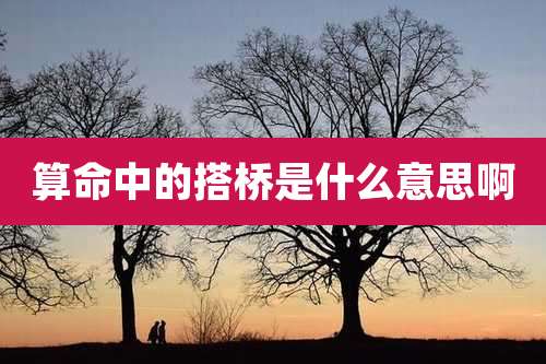 算命中的搭桥是什么意思啊