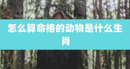 怎么算命格的动物是什么生肖