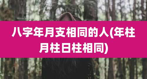 八字年月支相同的人(年柱月柱日柱相同)
