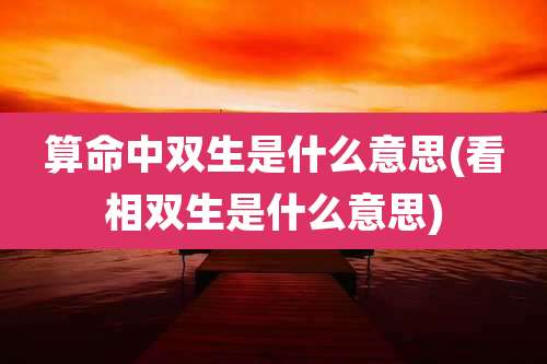 算命中双生是什么意思(看相双生是什么意思)