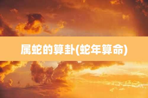 属蛇的算卦(蛇年算命)