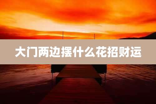大门两边摆什么花招财运