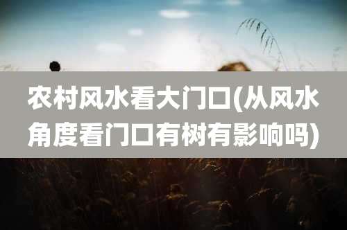 农村风水看大门口(从风水角度看门口有树有影响吗)