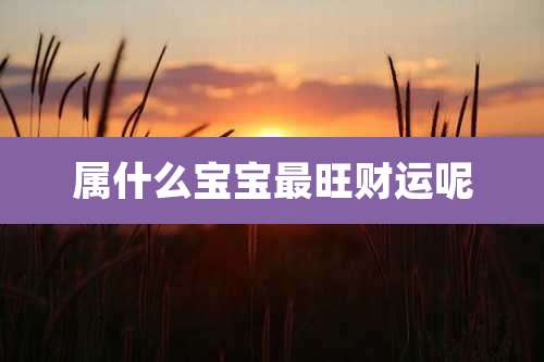 属什么宝宝最旺财运呢