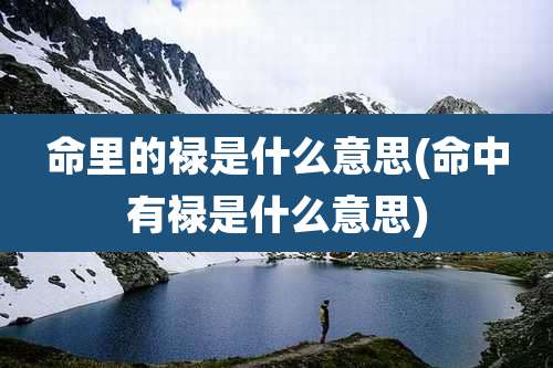 命里的禄是什么意思(命中有禄是什么意思)