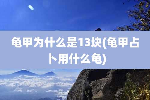 龟甲为什么是13块(龟甲占卜用什么龟)