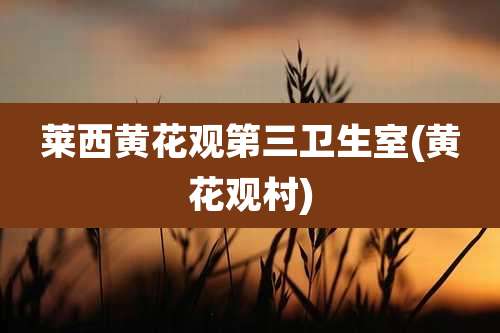 莱西黄花观第三卫生室(黄花观村)