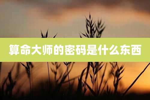 算命大师的密码是什么东西