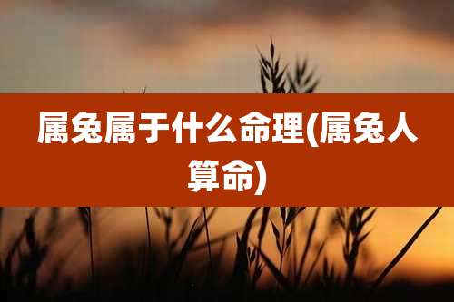 属兔属于什么命理(属兔人算命)