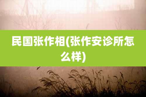 民国张作相(张作安诊所怎么样)