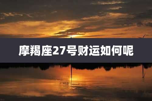 摩羯座27号财运如何呢