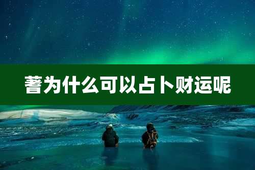 蓍为什么可以占卜财运呢