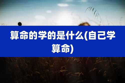 算命的学的是什么(自己学算命)
