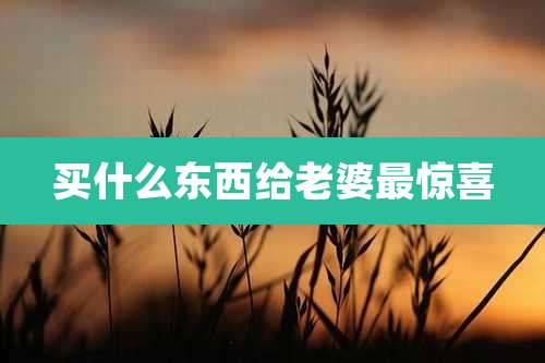 买什么东西给老婆最惊喜