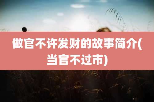 做官不许发财的故事简介(当官不过市)