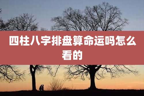 四柱八字排盘算命运吗怎么看的