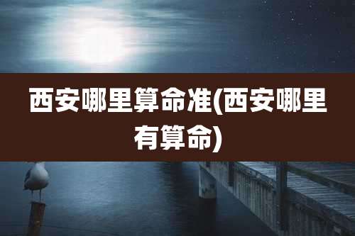 西安哪里算命准(西安哪里有算命)