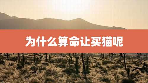 为什么算命让买猫呢