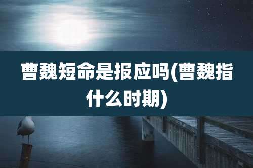 曹魏短命是报应吗(曹魏指什么时期)