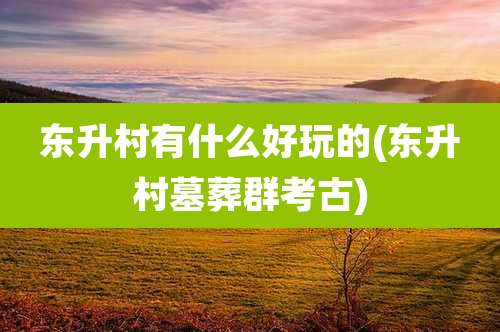 东升村有什么好玩的(东升村墓葬群考古)