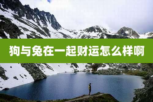 狗与兔在一起财运怎么样啊