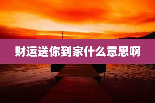 财运送你到家什么意思啊
