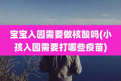 宝宝入园需要做核酸吗(小孩入园需要打哪些疫苗)