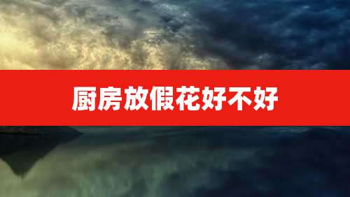 厨房放假花好不好