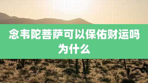 念韦陀菩萨可以保佑财运吗为什么