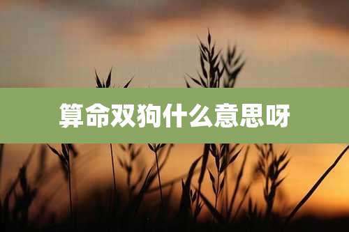 算命双狗什么意思呀