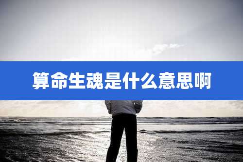 算命生魂是什么意思啊