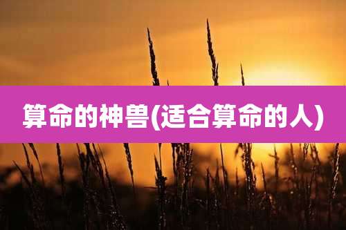 算命的神兽(适合算命的人)