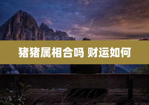 猪猪属相合吗 财运如何