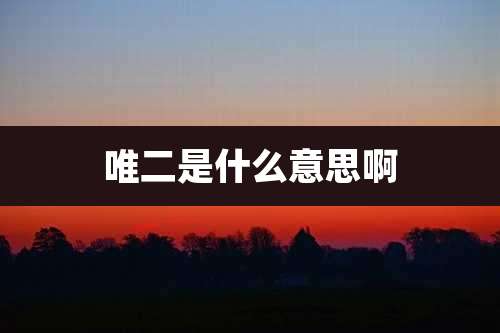 唯二是什么意思啊