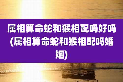 属相算命蛇和猴相配吗好吗(属相算命蛇和猴相配吗婚姻)