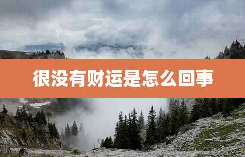 很没有财运是怎么回事