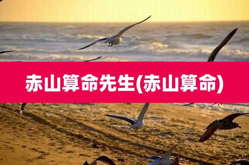 赤山算命先生(赤山算命)