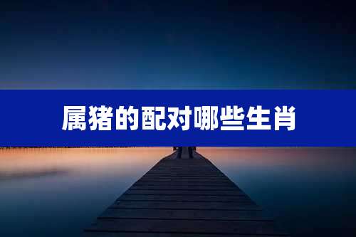 属猪的配对哪些生肖