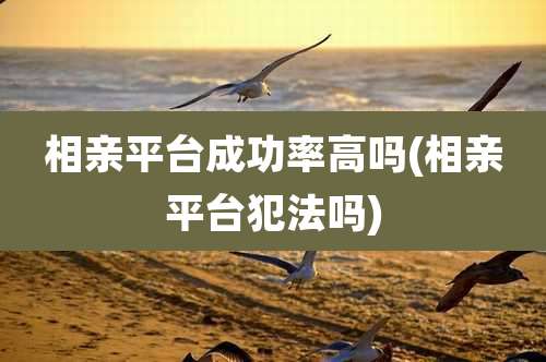 相亲平台成功率高吗(相亲平台犯法吗)